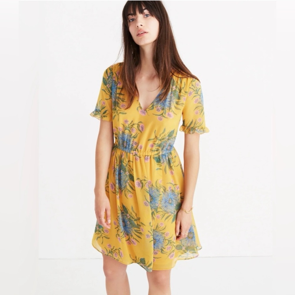Madewell Sweetgrass Ruffle-Sleeve Dress in Painted Blooms. Size 6